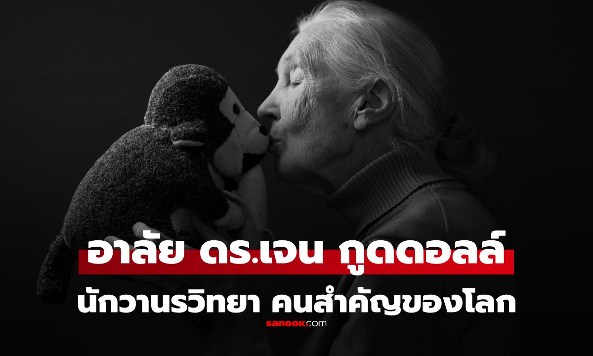 อาลัย Dr.Jane Goodall นักวานรวิทยา เสียชีวิตแล้ว งานของเธอสำคัญต่อโลกนี้เหลือเกิน