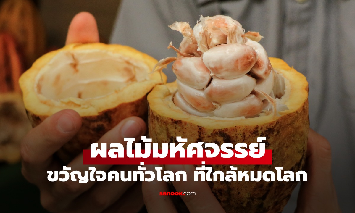 ผลไม้มหัศจรรย์ 1 ชนิด ขวัญใจคนทั่วโลก อาจสูญพันธุ์หายไปจากโลกภายใน 30 ปี