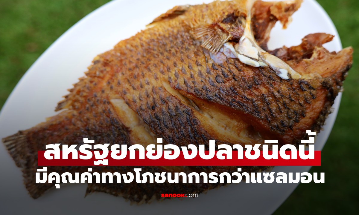 ที่ไทยมี! ปลา 1 ชนิด สหรัฐฯ ยกย่องว่ามีคุณค่าทางโภชนาการมากกว่า \