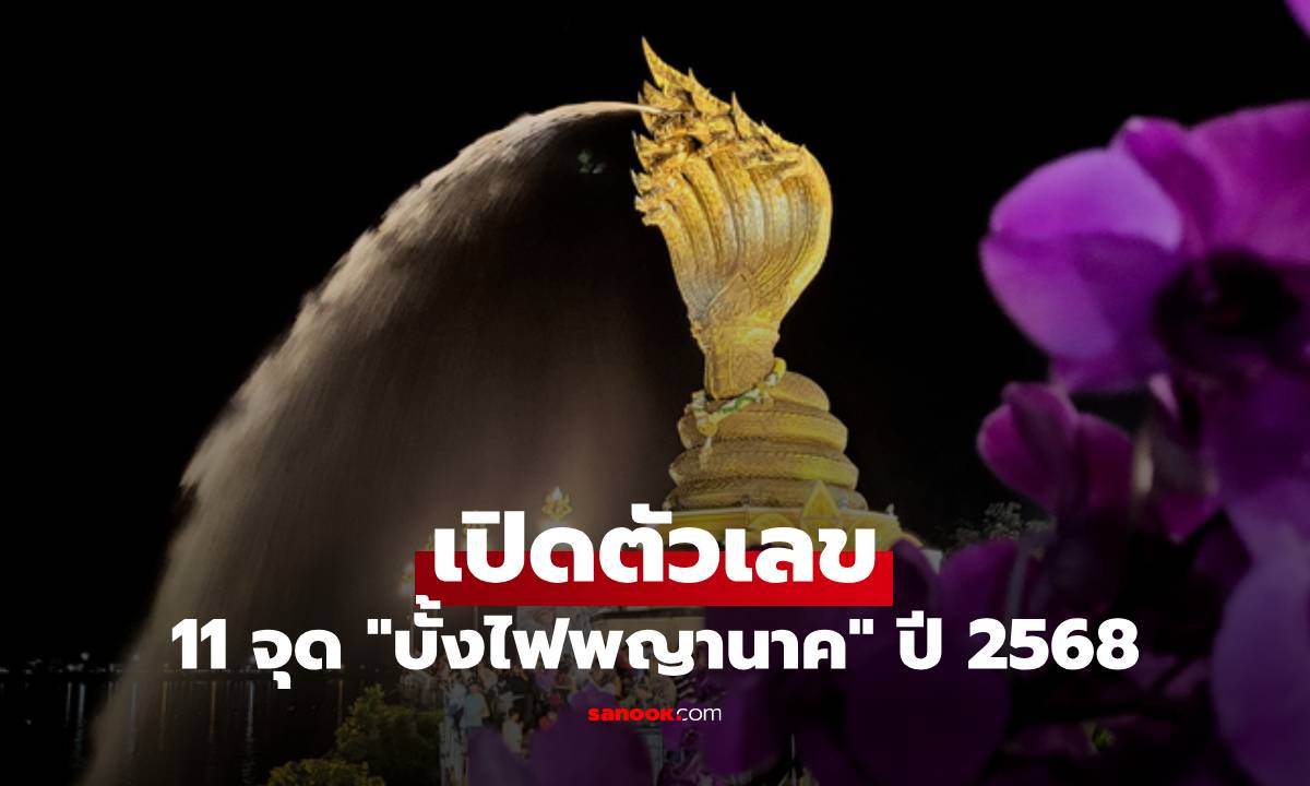 เปิดตัวเลข 11 จุด \