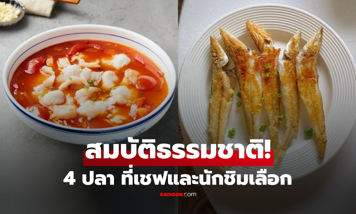 นักชิมเลือก 4 ปลา ธรรมชาติล้วนๆ \