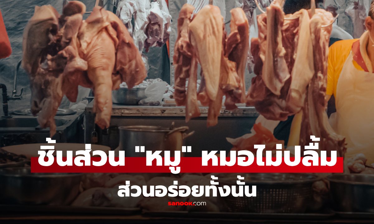 ชิ้นส่วนไหนบ้างของ \