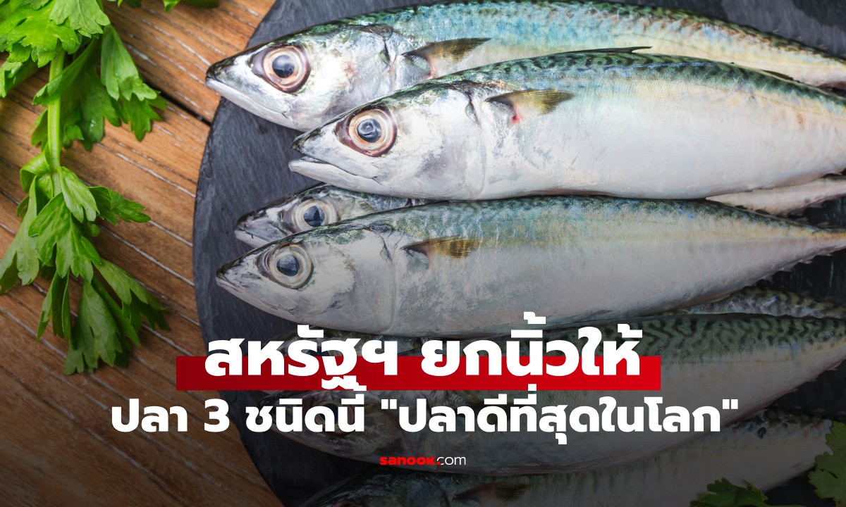 สหรัฐฯ ยกย่อง ปลา 3 ชนิด \