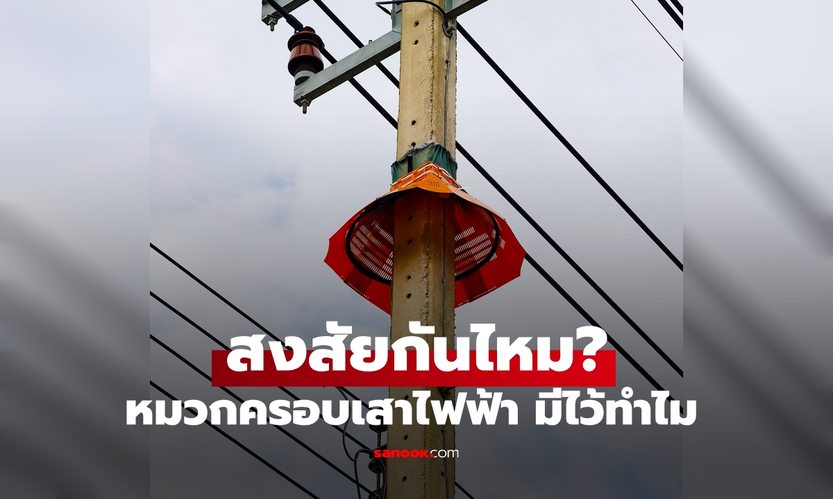 เคยสังเกตและสงสัยไหม? เสาไฟฟ้าเกือบทุกต้น มีหมวกครอบไว้ทำไม มีคำตอบ!