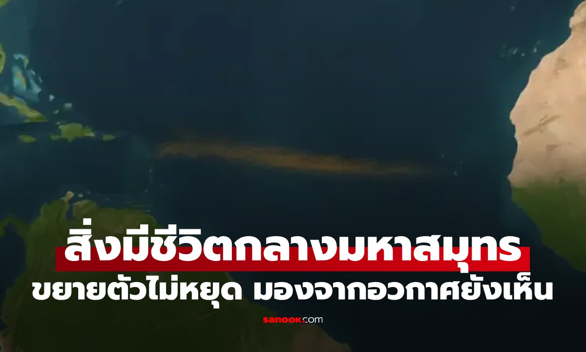 โลกผวา \