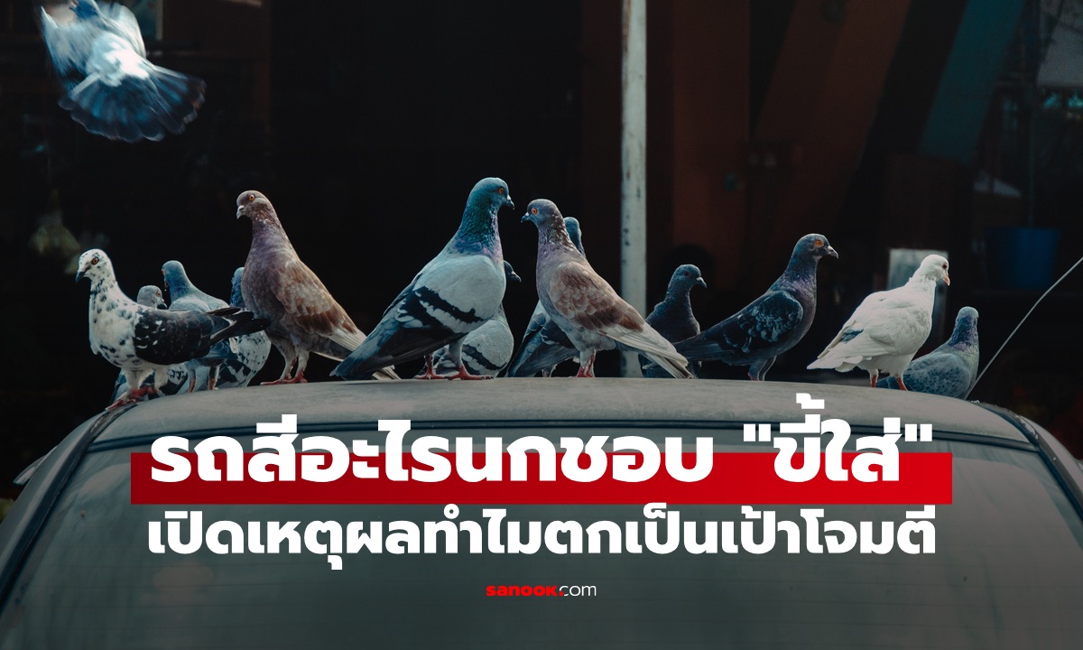 รถสีอะไรนกชอบ \