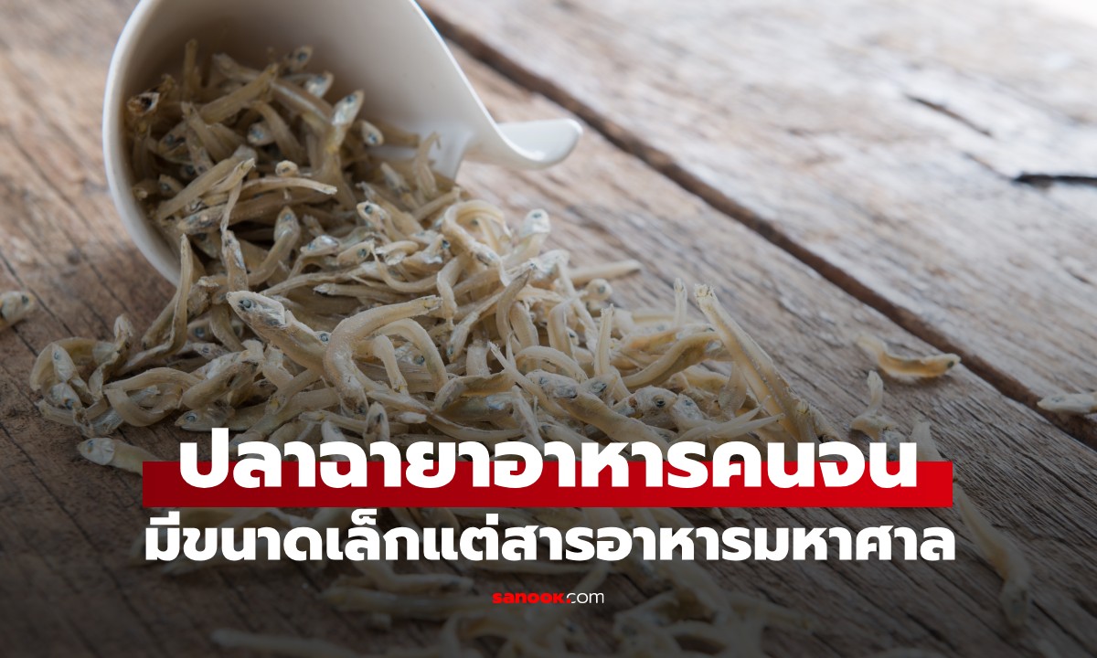 ปลาชนิดนี้ถูกเรียกว่า \