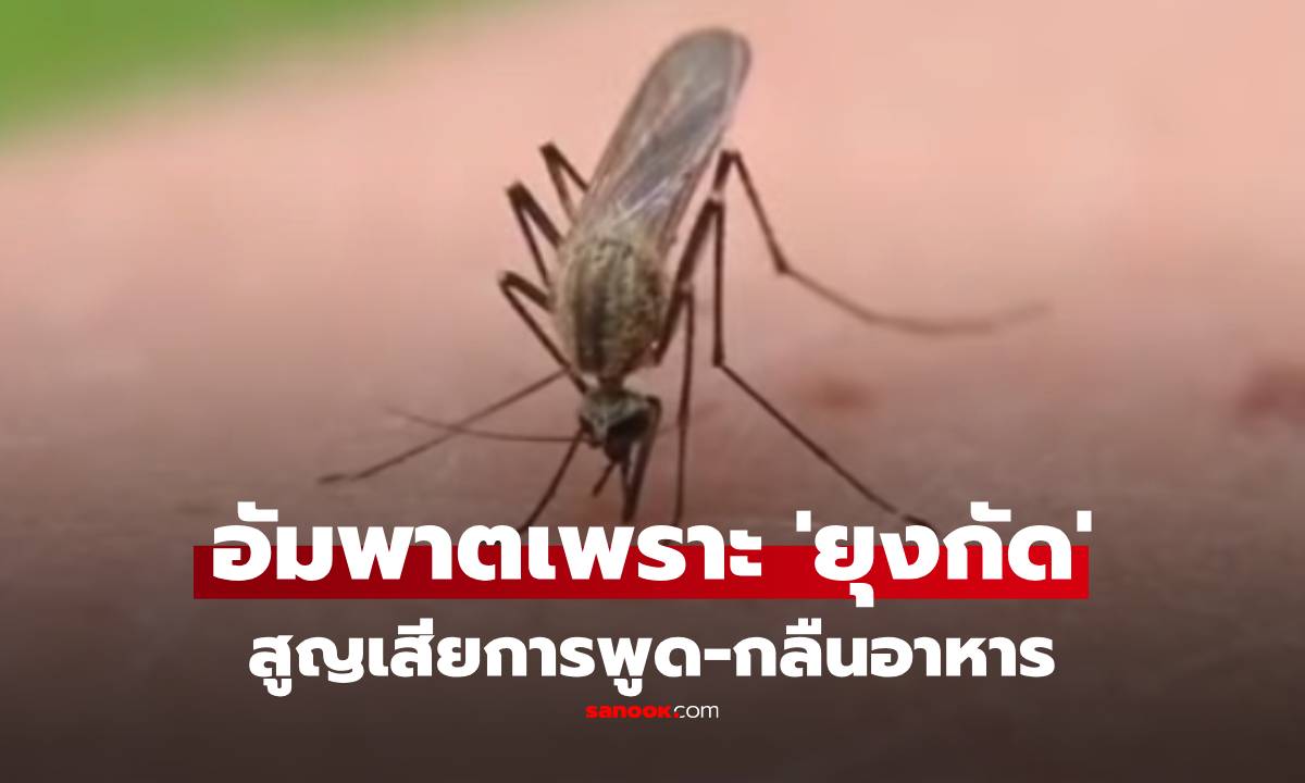 หนุ่ม 23 ว่าที่คุณพ่อ กลายเป็นอัมพาต พูด-กลืนอาหารไม่ได้ อึ้ง! สาเหตุเพราะ \'ยุง\'