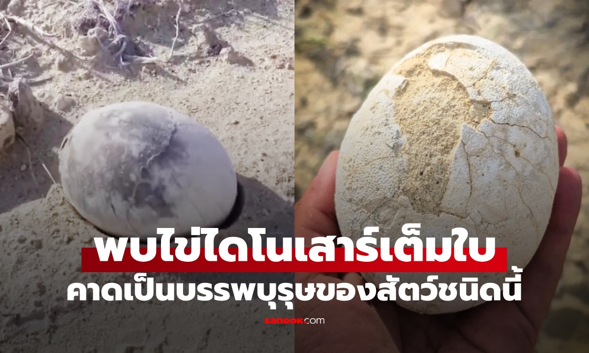 นักบรรพชีวินตะลึง \