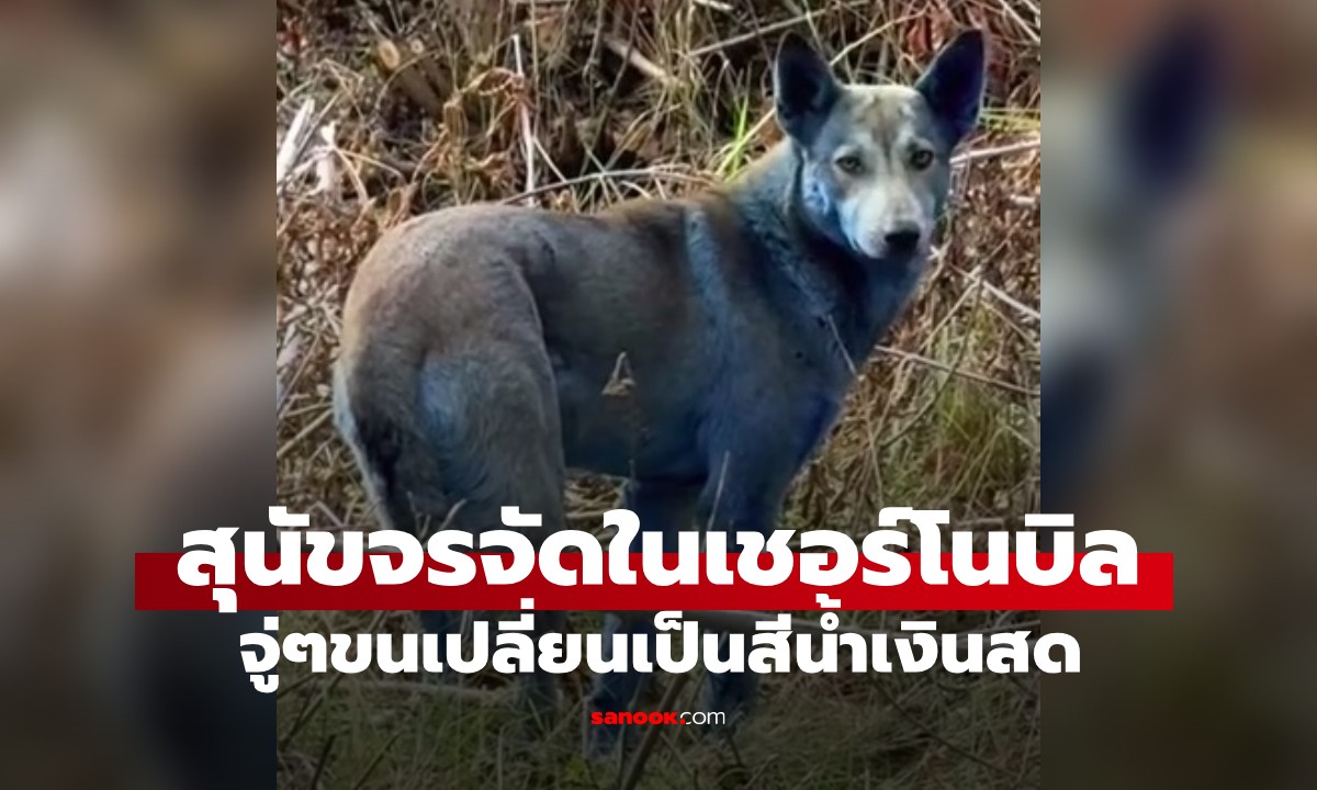 ปริศนา \