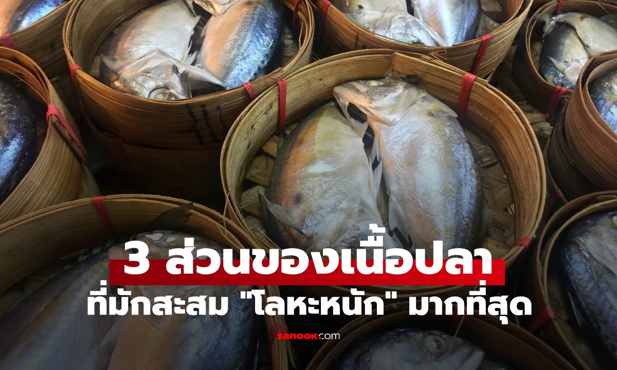 3 ส่วนของปลาที่มีปริมาณ \