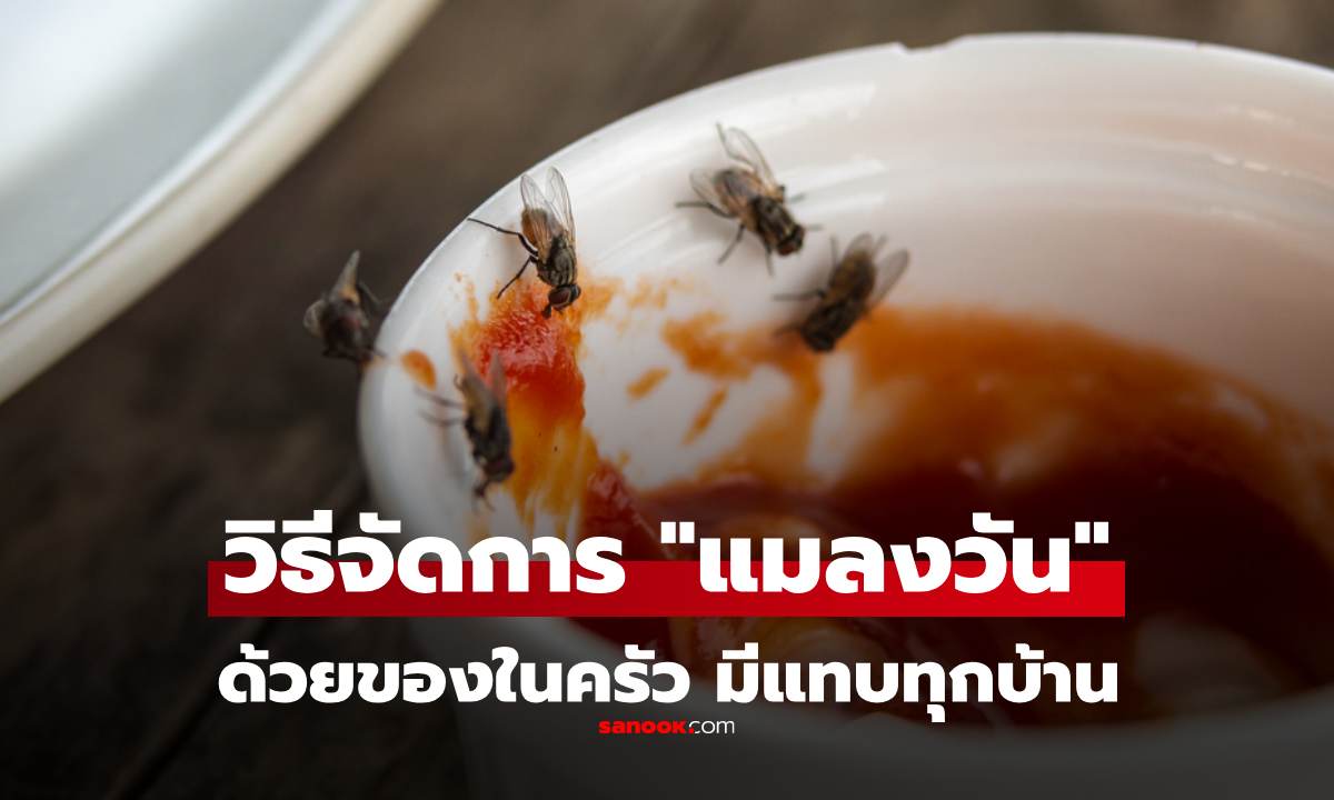 ของในครัวที่จัดการ \