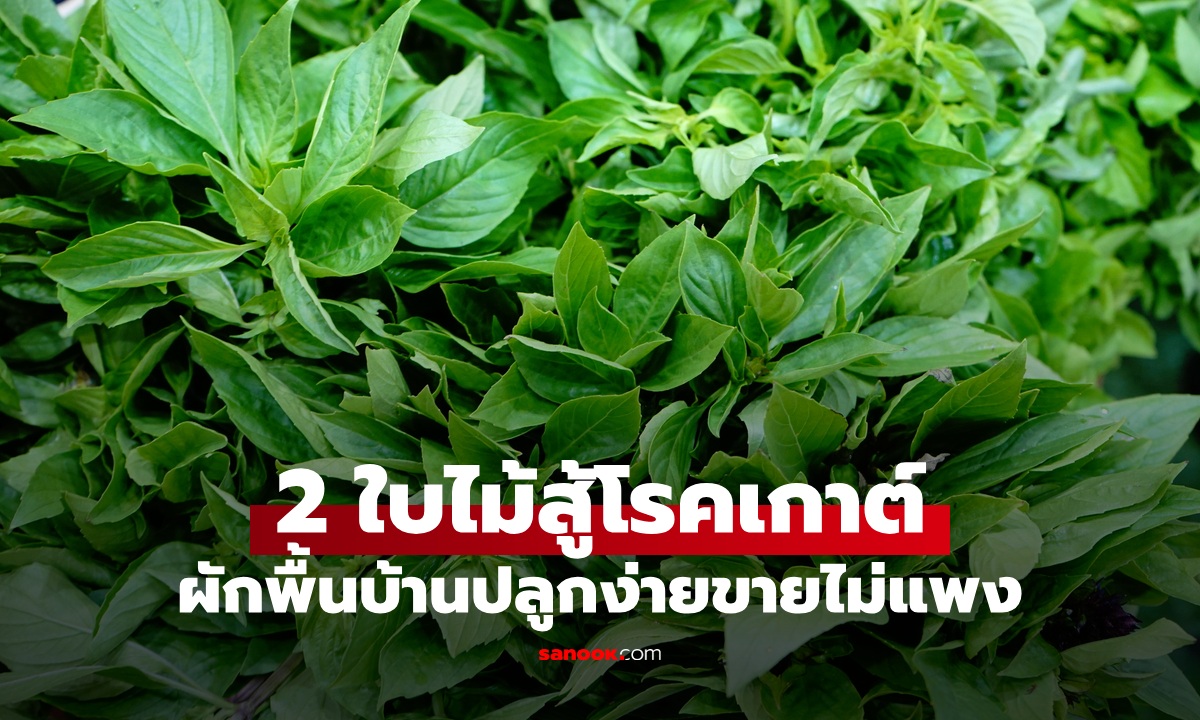 2 ใบไม้สู้ \