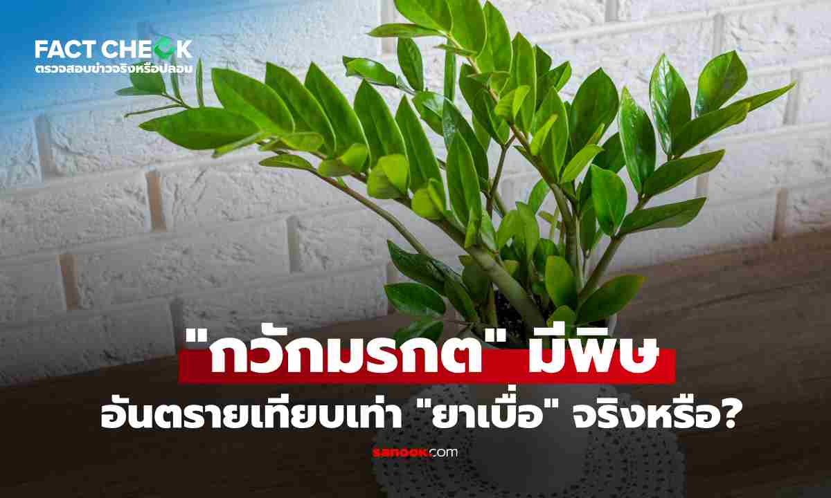 เช็กข่าวชัวร์ : \