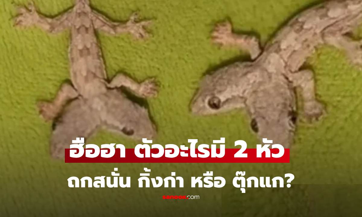 โซเชียลถกสนั่น \