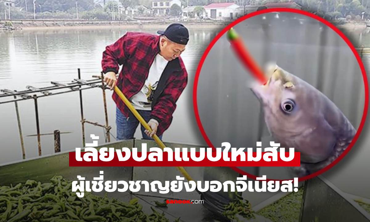 แปลกแต่ดี! เจ้าของบ่อปลาจีน เผยเลี้ยงปลาด้วย \