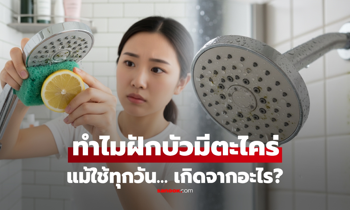 เฉลยแล้ว! ทำไมฝักบัวอาบน้ำ ถึงเกิด \