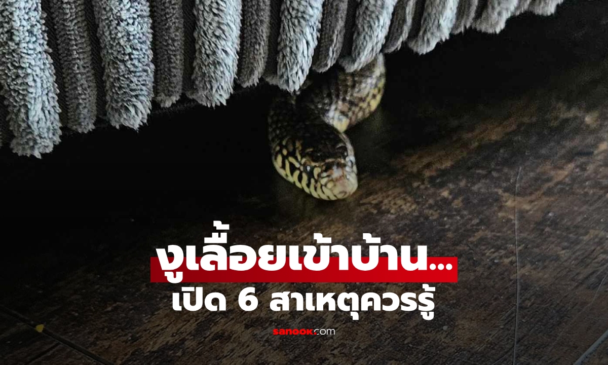 เปิด 6 สาเหตุที่ \