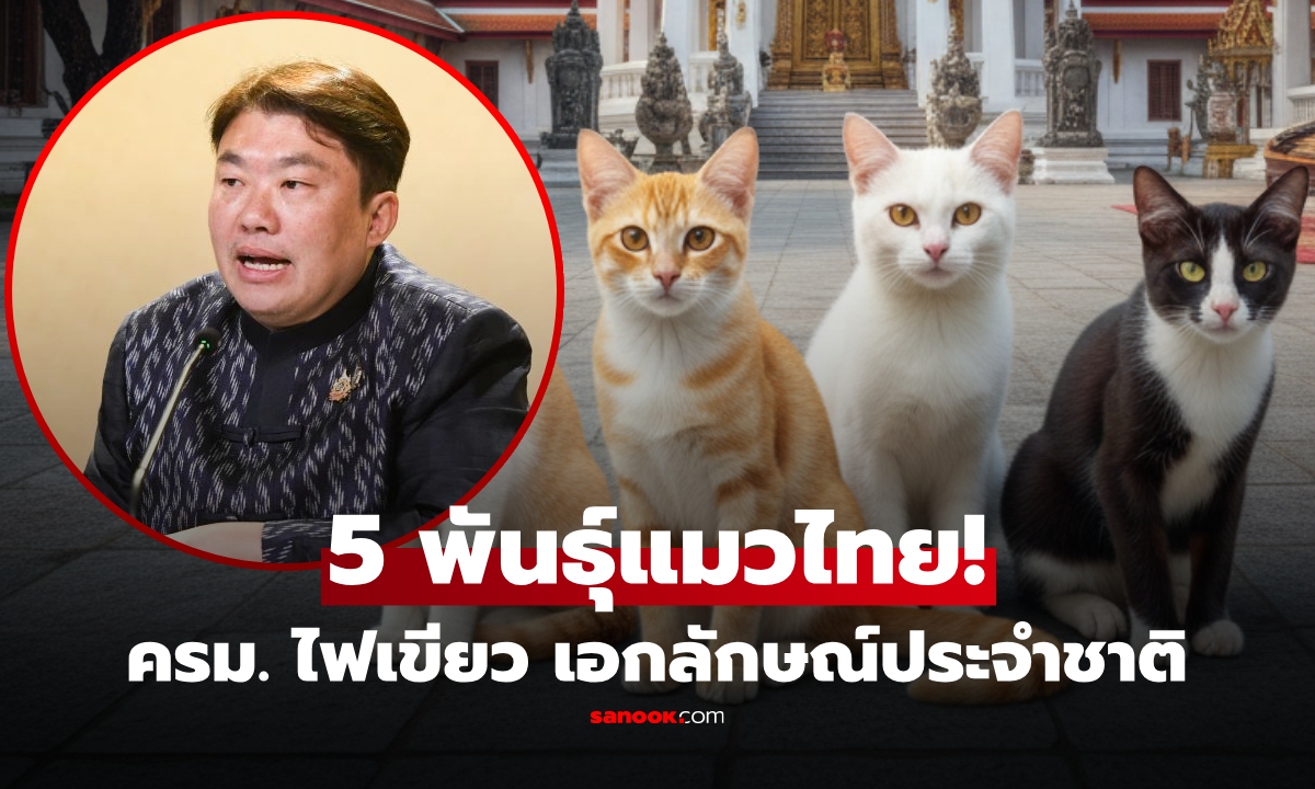 ทาสแมวเฮ!! ครม. ไฟเขียว 5 พันธุ์แท้ "แมวไทย" เป็นเอกลักษณ์ประจำชาติ ประเภทสัตว์เลี้ยง