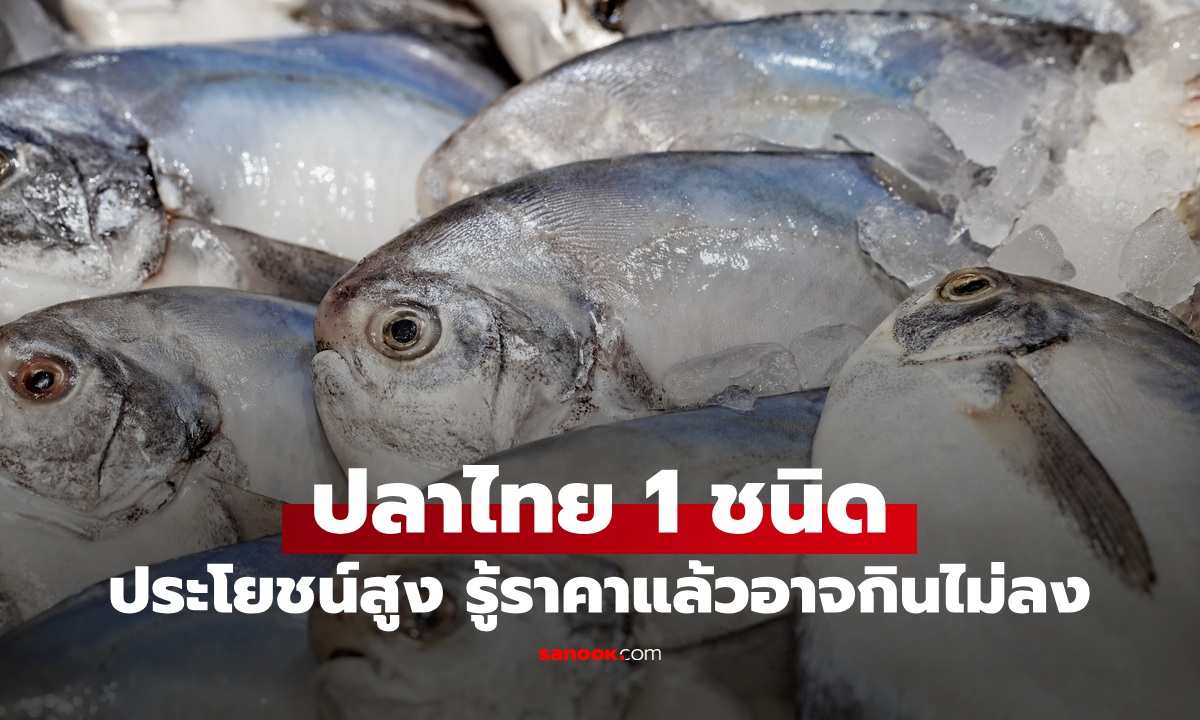 ปลาไทยฉายา \