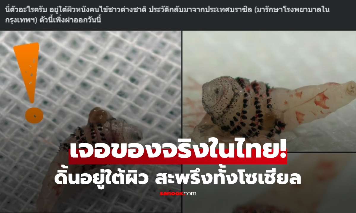 เฉลยแล้ว \