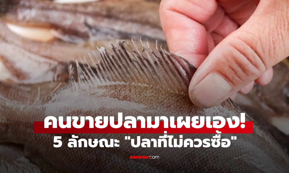 คนขายปลามาเผยเอง! 5 ลักษณะ \