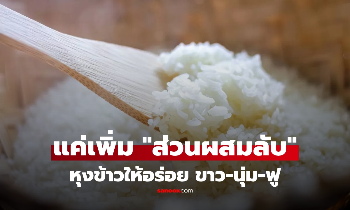 ผู้เชี่ยวชาญเผย \