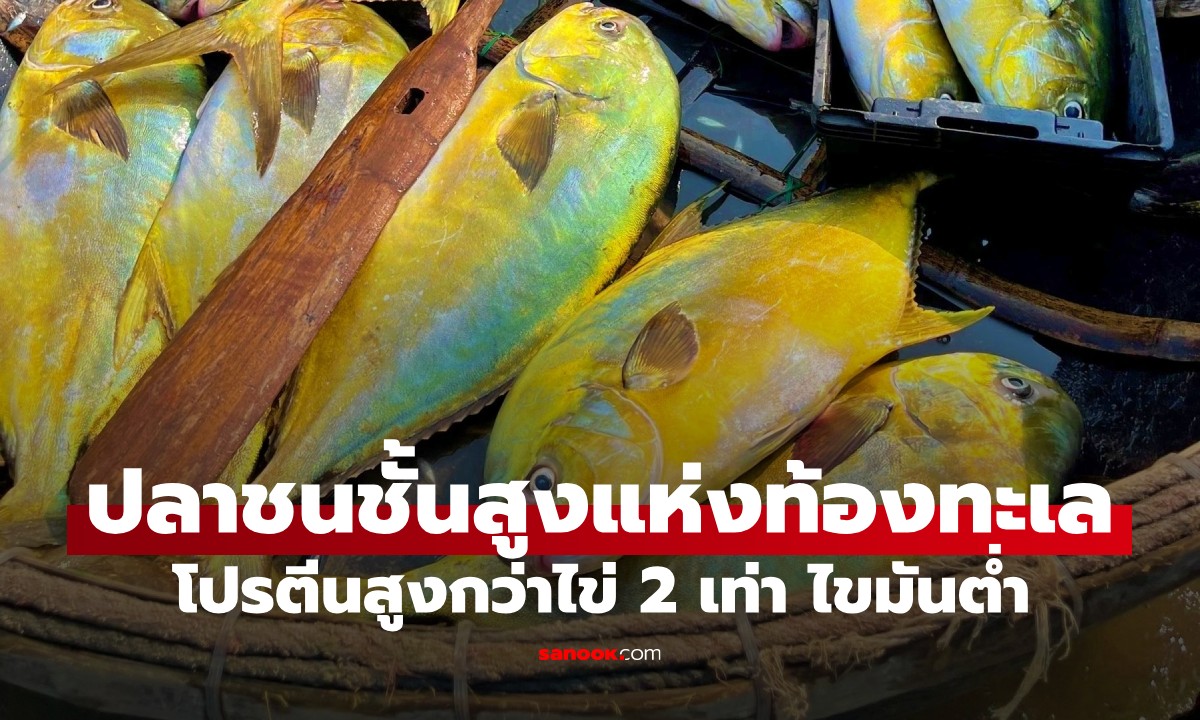 ปลาที่ได้ฉายา \