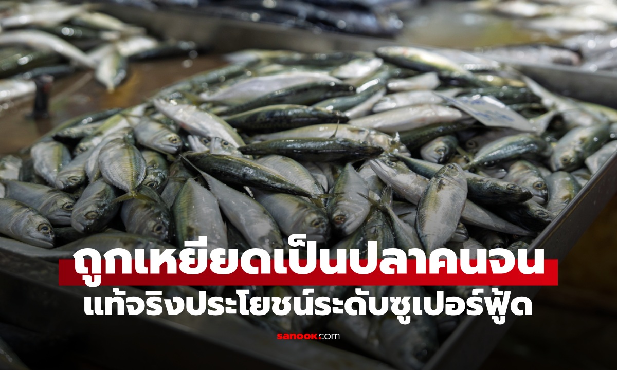 เคยถูกเหยียดเป็น \