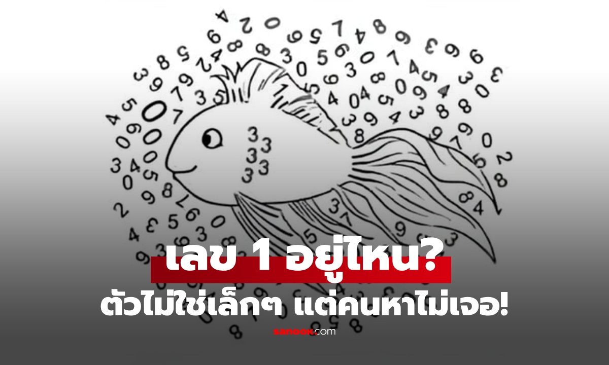 อย่าเพิ่งดูเฉลย! ลองหาเลข 1 ในภาพนี้ ตัวไม่ใช่เล็กๆ แต่คนส่วนใหญ่มองไม่เห็น!!!