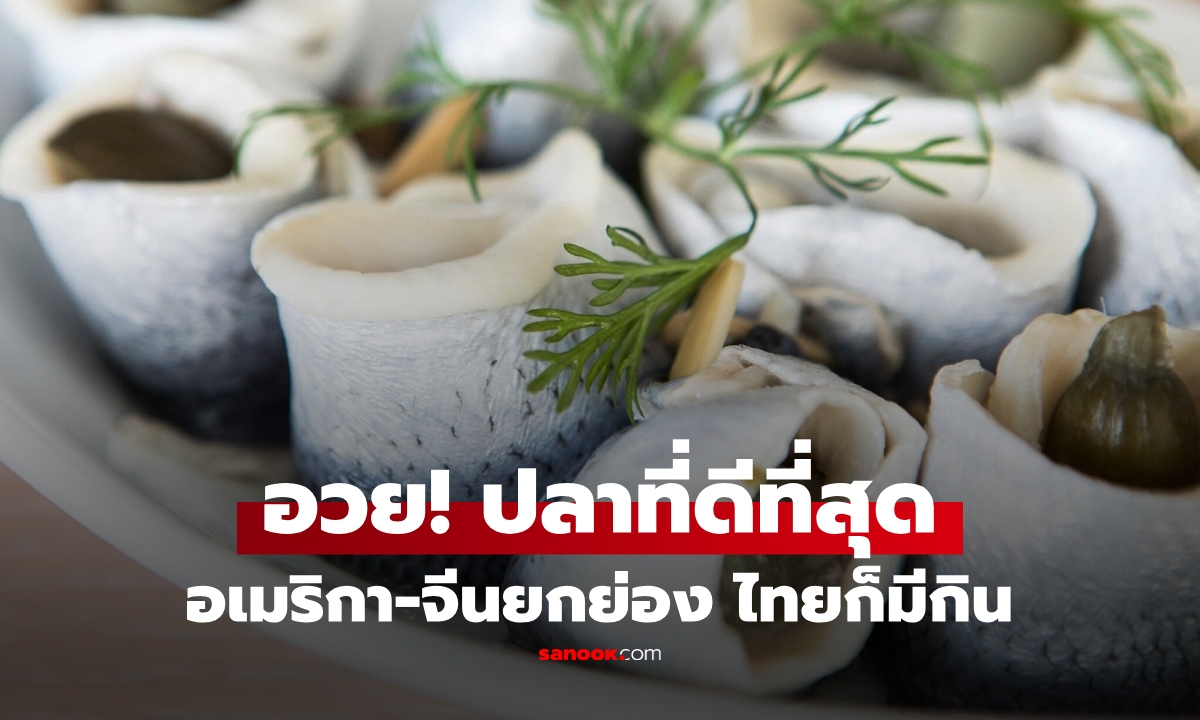 กูรูอเมริกายกย่อง \