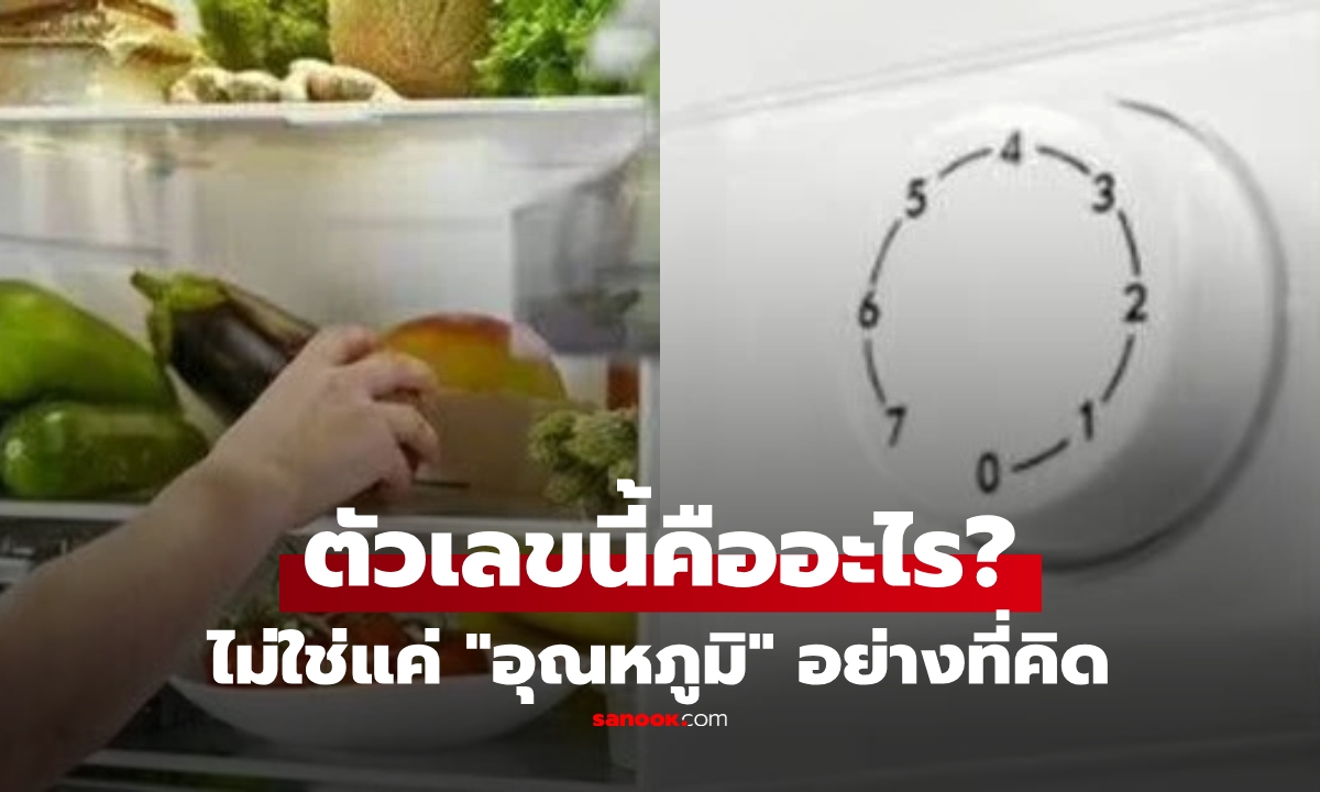 เปิดความลับ! ตัวเลข 1-5 บนปุ่มตู้เย็น ไม่ใช่ \