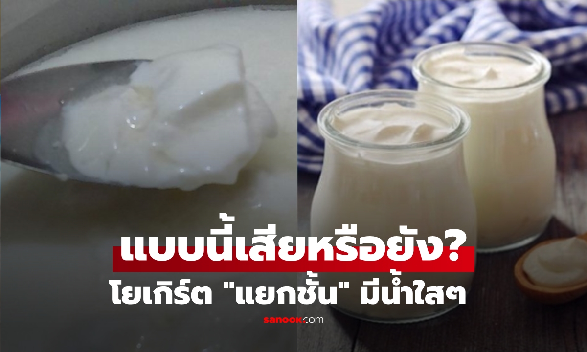 โยเกิร์ต \