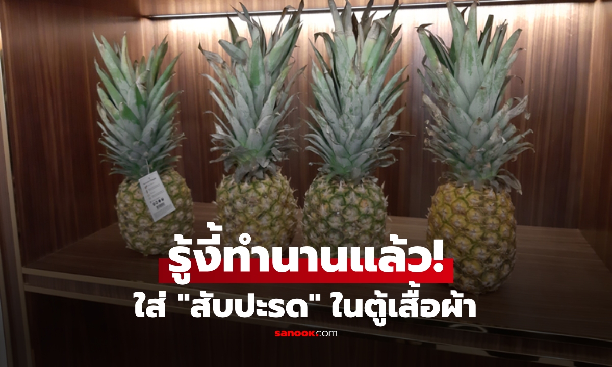 ทำไมต้องใส่ "สับปะรด" ไว้ในตู้เสื้อผ้า? เคล็ดลับแม่บ้านที่ฟังดูแปลก แต่ช่วยชีวิตได้จริง!!