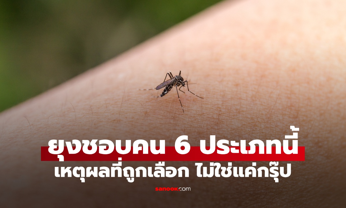 คน 6 ประเภท \