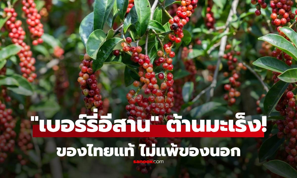 ผลไม้ไทยที่ถูกยกเป็น \