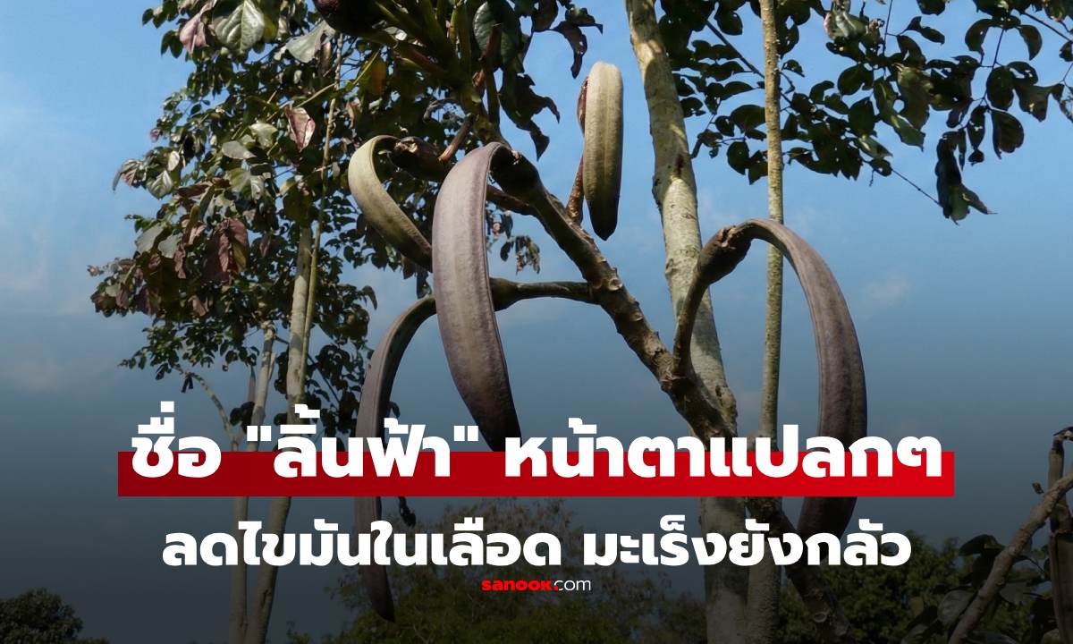 เคยกินไหม \