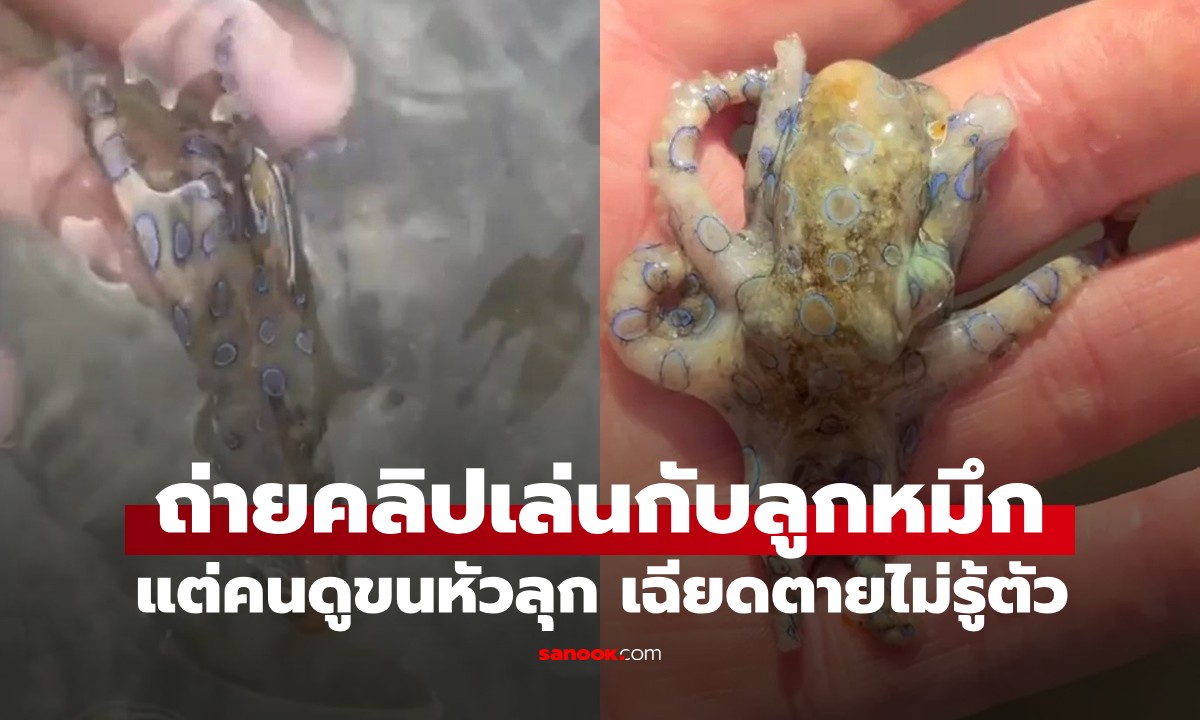 นทท.อังกฤษถ่ายคลิปเล่นกับ \