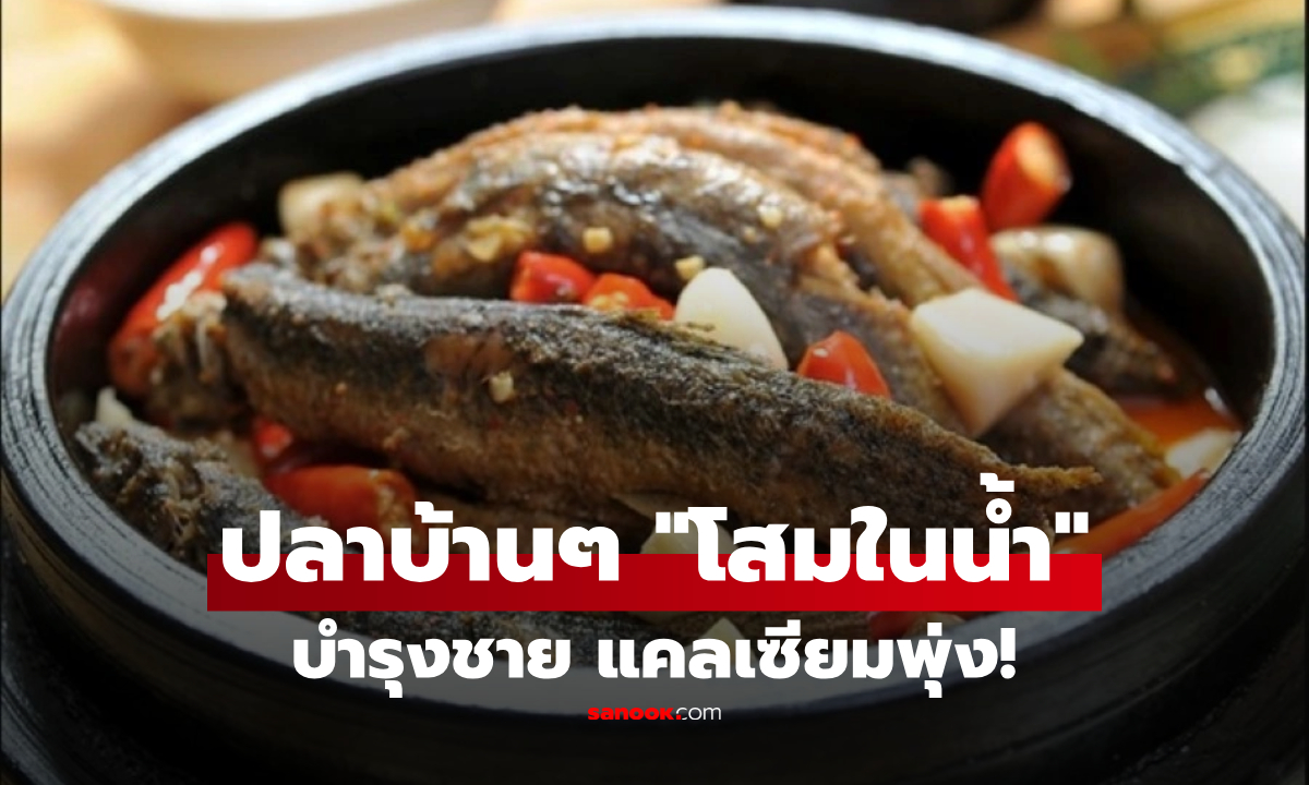 ไม่ใช่ปลาไหล! แต่ต่างชาติอวยเป็น \