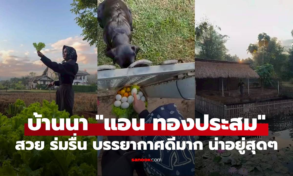 เปิดบ้านนา \