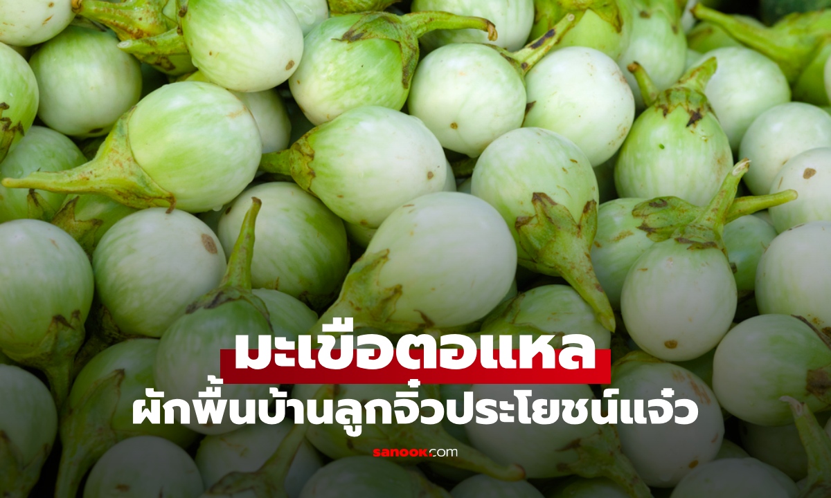 รู้จัก \