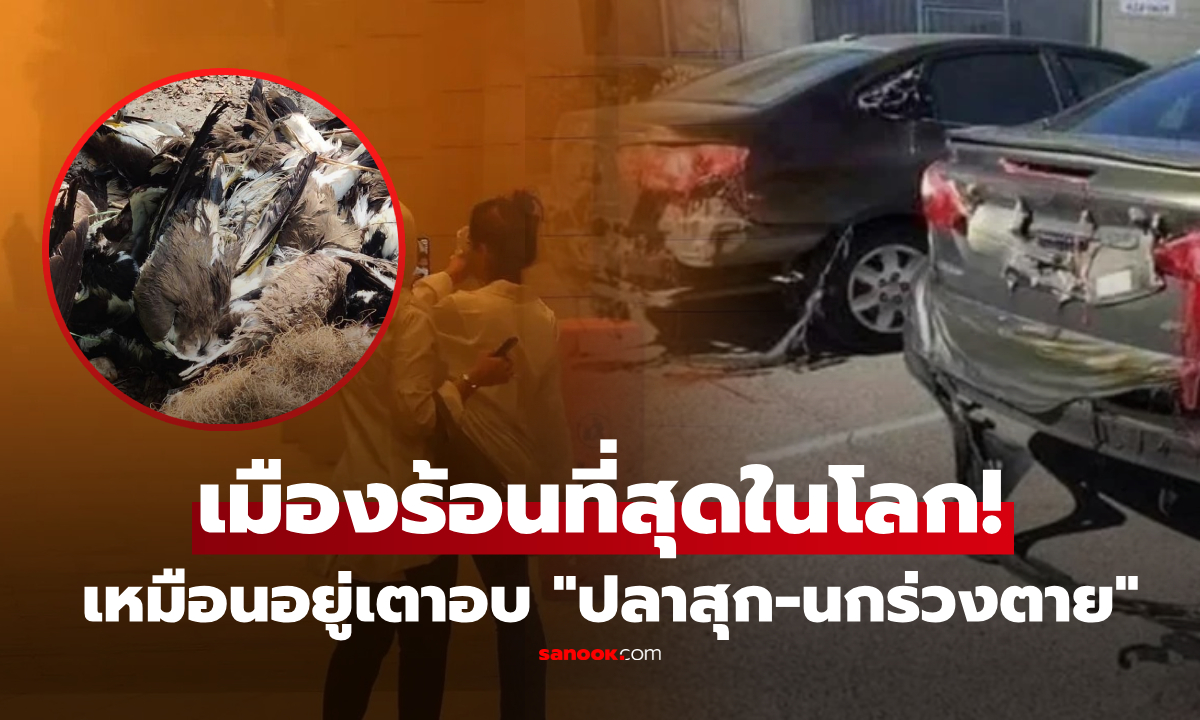 คำเตือนโลกแตก?! เมืองที่ร้อนจน \