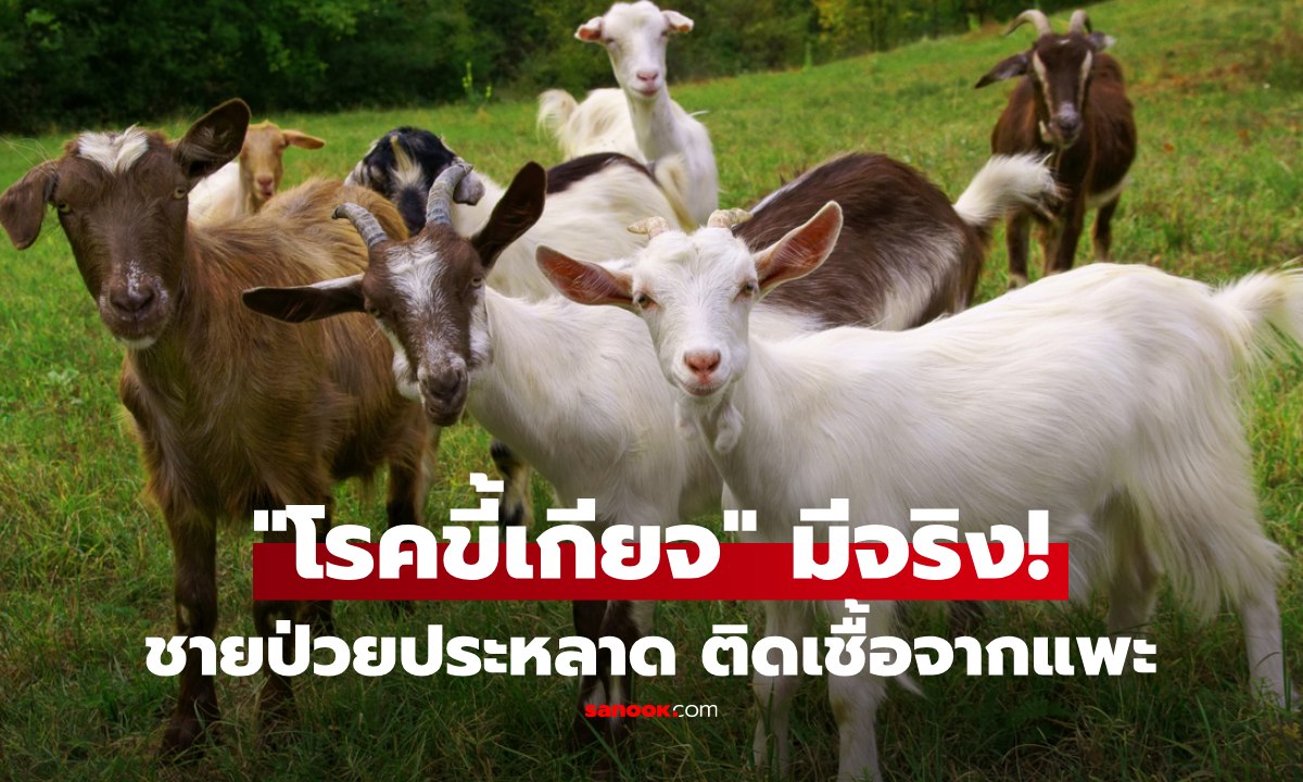 ชายเชือดสัตว์มาทั้งชีวิต อยู่ๆเหนื่อยจนทรุด ที่แท้ป่วยประหลาด \