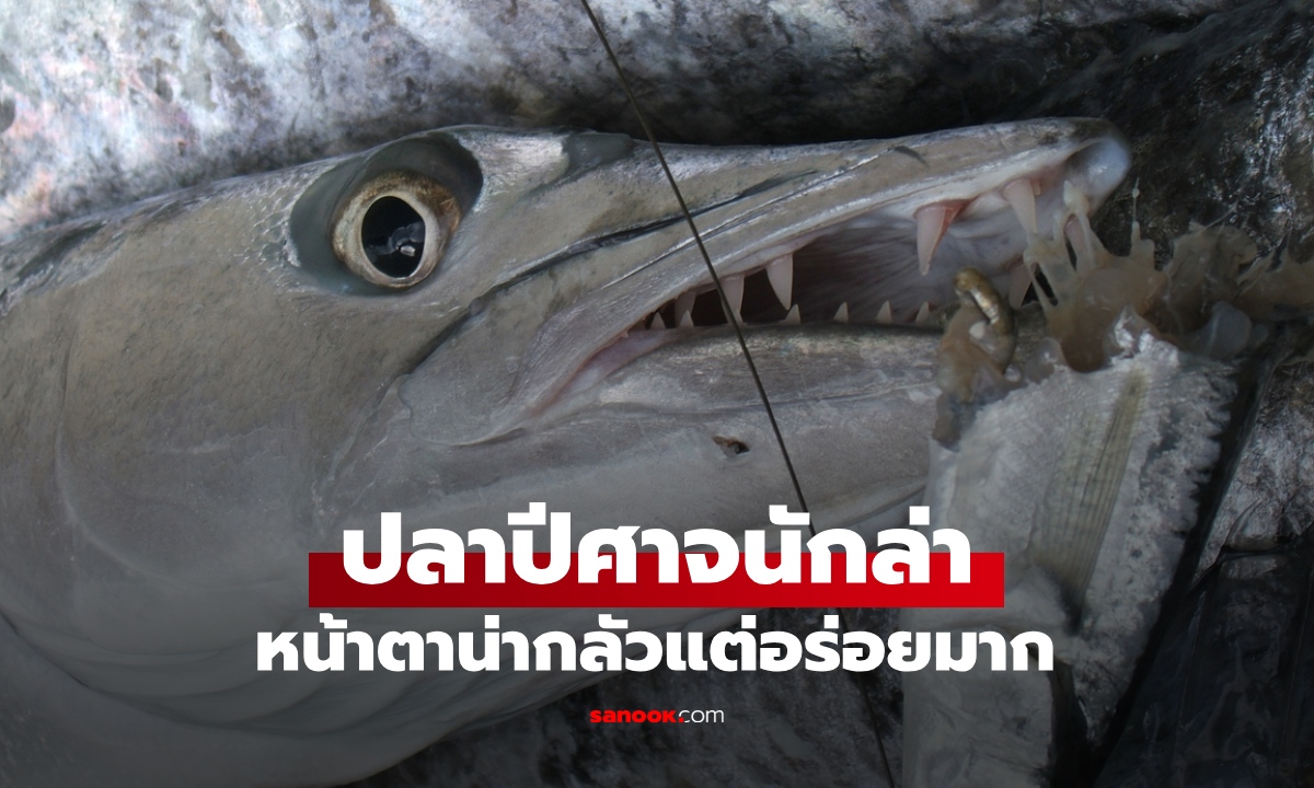 รู้จัก \