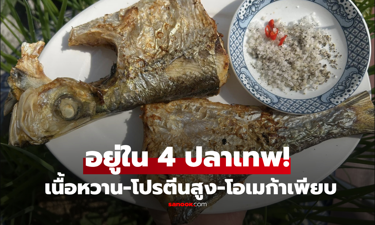 ติด 1 ใน 4 ปลา \