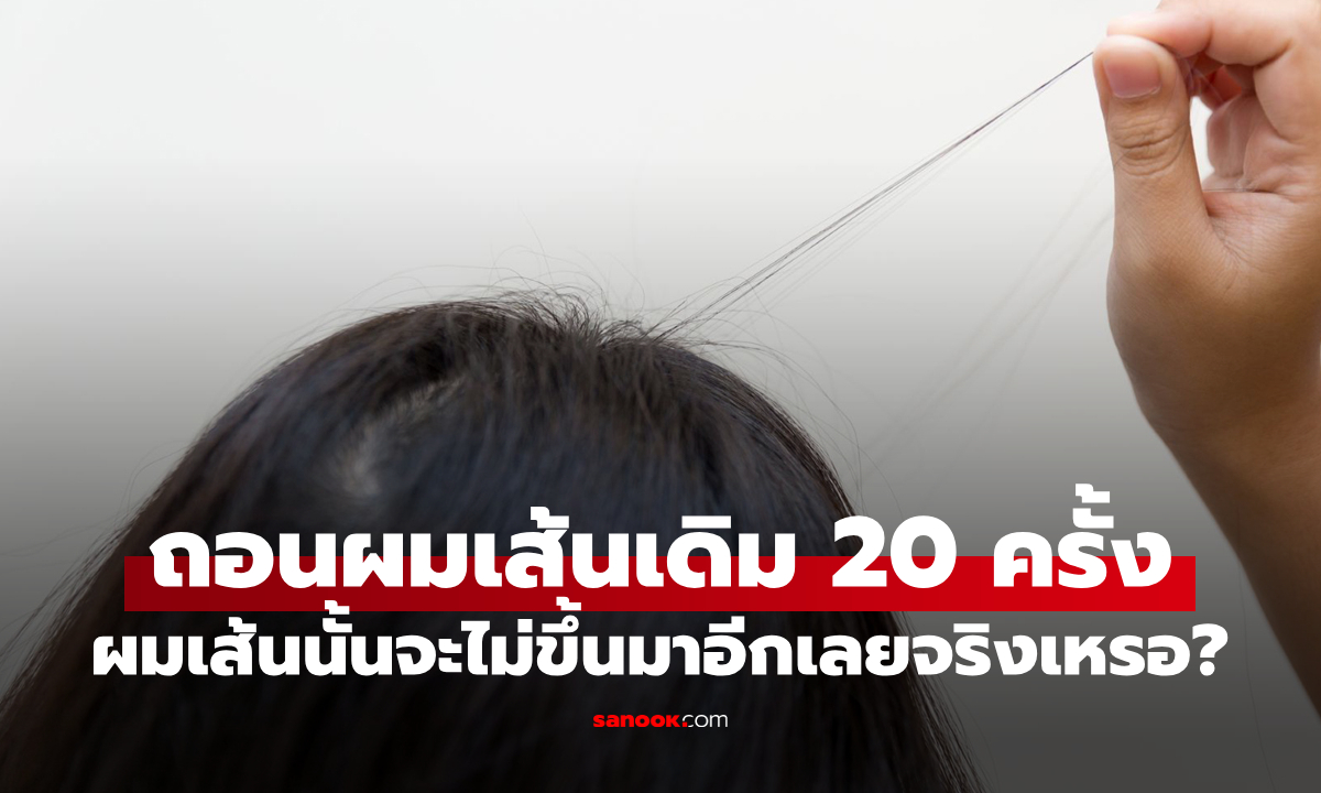 จริงหรือไม่? ถอนผมเส้นเดิม 20 ครั้ง ผมเส้นนั้นจะไม่ขึ้นมาอีกตลอดชีวิต