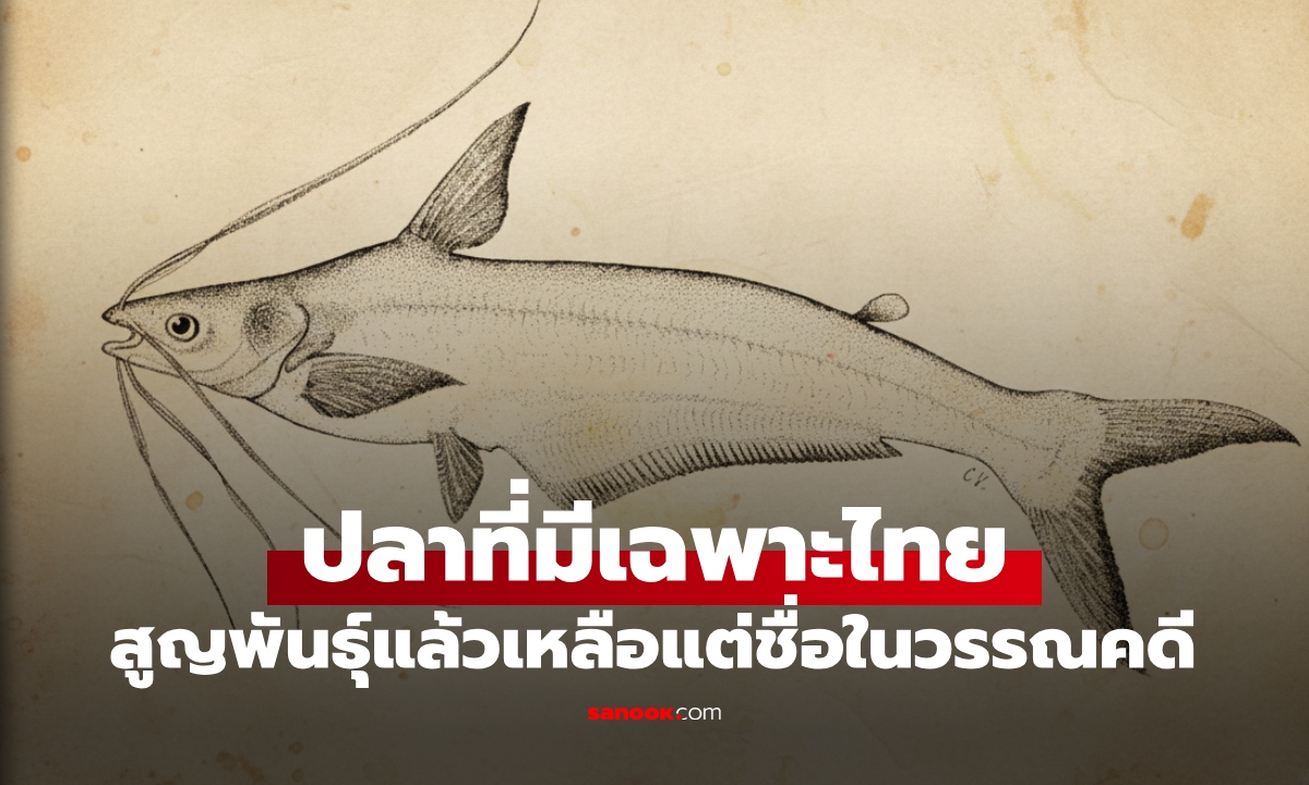 ปลา 1 ชนิด พบเฉพาะที่ประเทศไทยเท่านั้น สูญพันธุ์ไปแล้ว เหลือแต่ชื่อในวรรณคดี