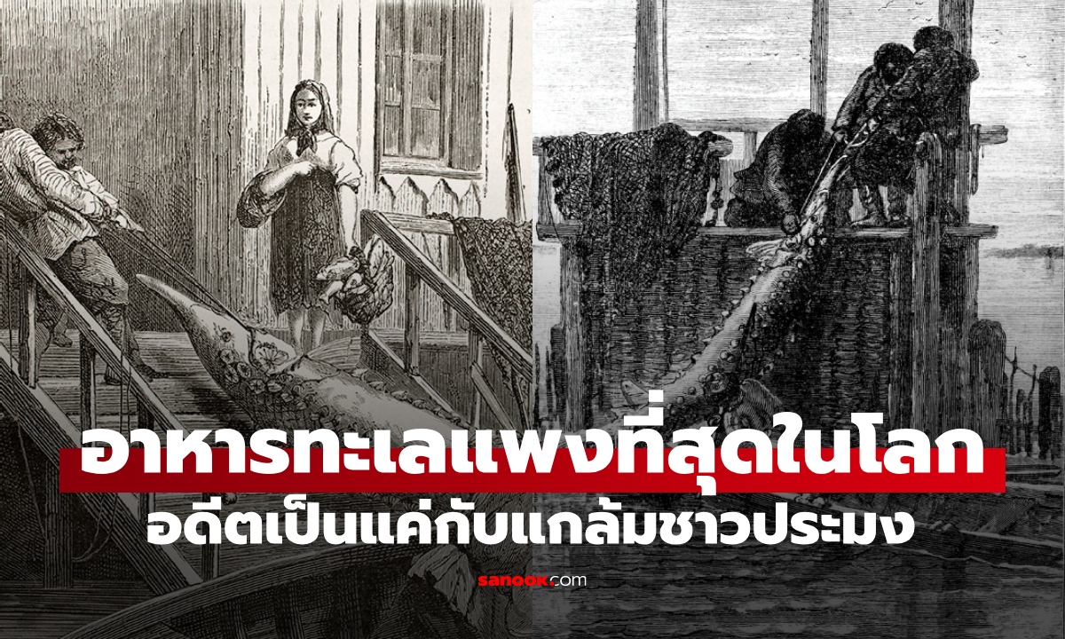 อาหารทะเล \