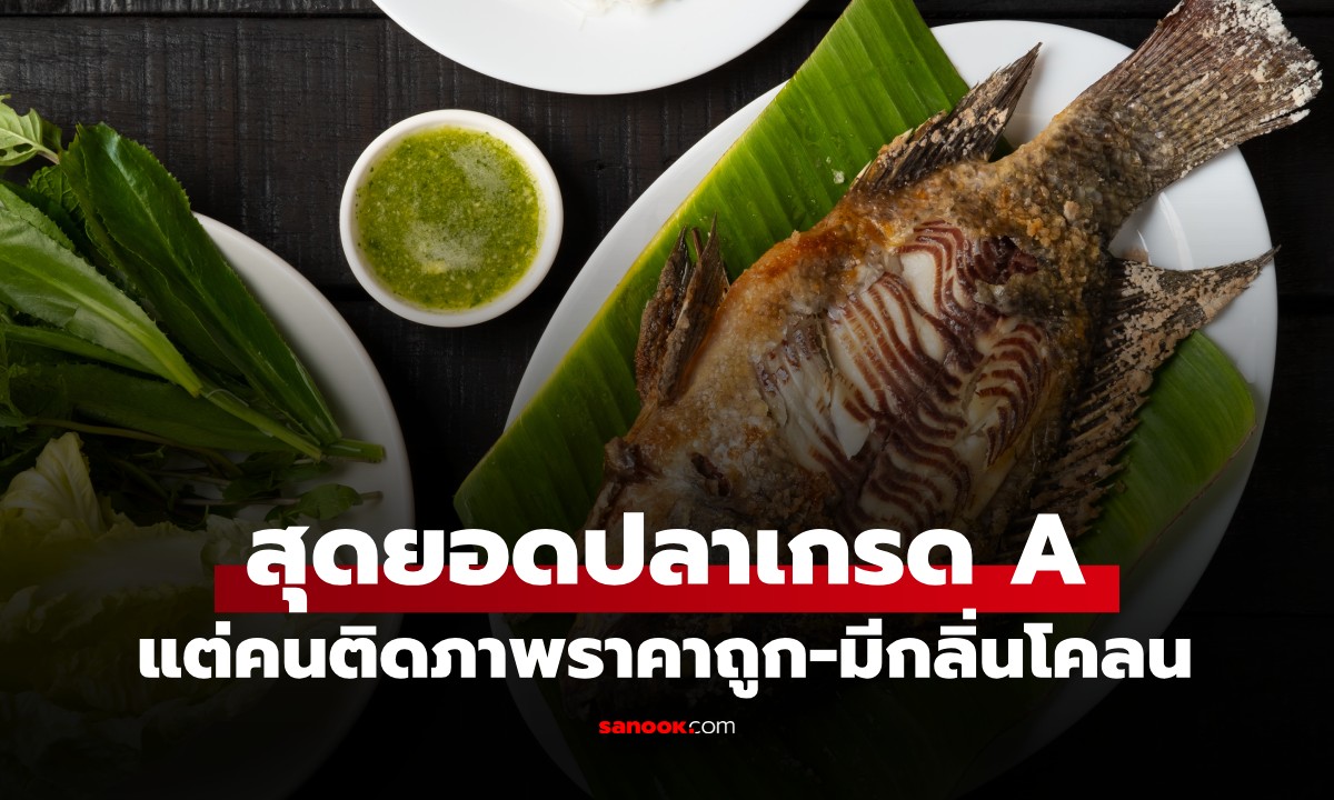 หลายคนมักมองข้าม! ปลา 1 ชนิด ติดภาพราคาถูก-มีกลิ่นโคลน ทั้งที่คือสุดยอดปลาเกรด A