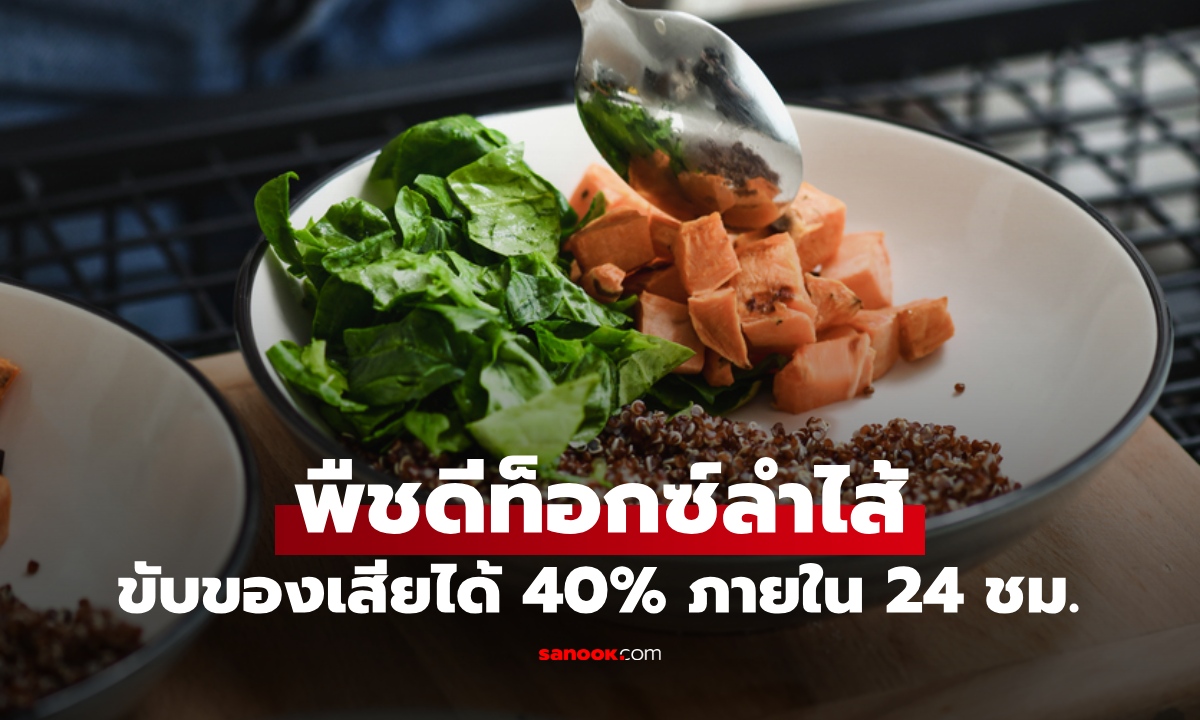 วิจัยญี่ปุ่นพบ พืช 1 ชนิด ช่วยดีท็อกซ์ลำไส้ใน 24 ชั่วโมง ฮีโร่ระบบขับถ่าย ปกป้องตับ